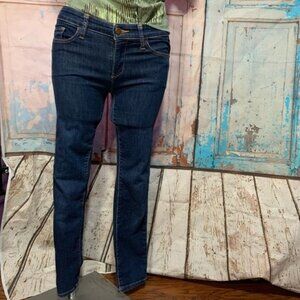 Anthroplogie Pilcro and the Letterpress No 27 TMP - Serif Queen Bee Jeans  Skinn